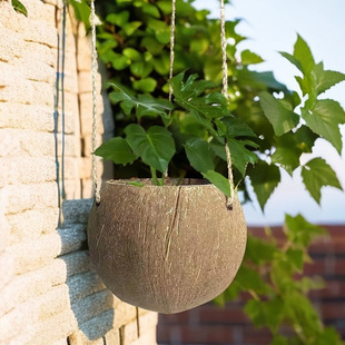 ��Ȼ���@����Ҭ�Ӛ��ֹ���ĥ���@ֲ�����������͹���@ˇ�͏d�b�