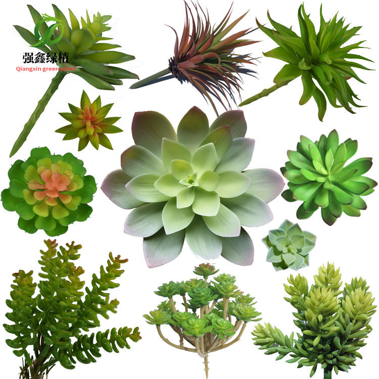 Artificial succulent plants, extra-large succulent bonsai, green plants, plastic flower pots, micro-landscape accessories, plant wall Artificial succulent plants, extra-large succulent bonsai, green plants, plastic flower pots, micro-landscape accessories, plant wall