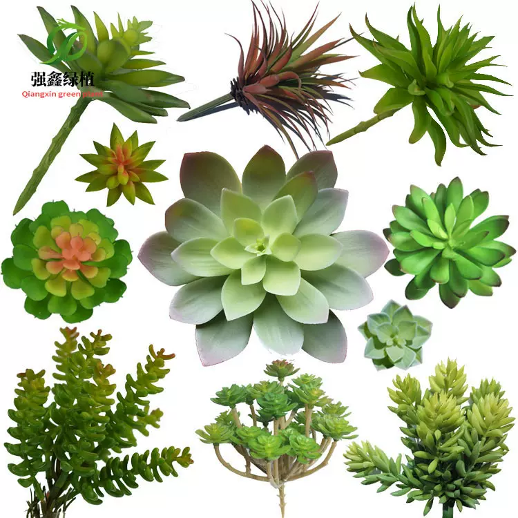 仿真多肉植物 超大小号多肉盆景绿植塑胶花盆栽微景观配材植物墙