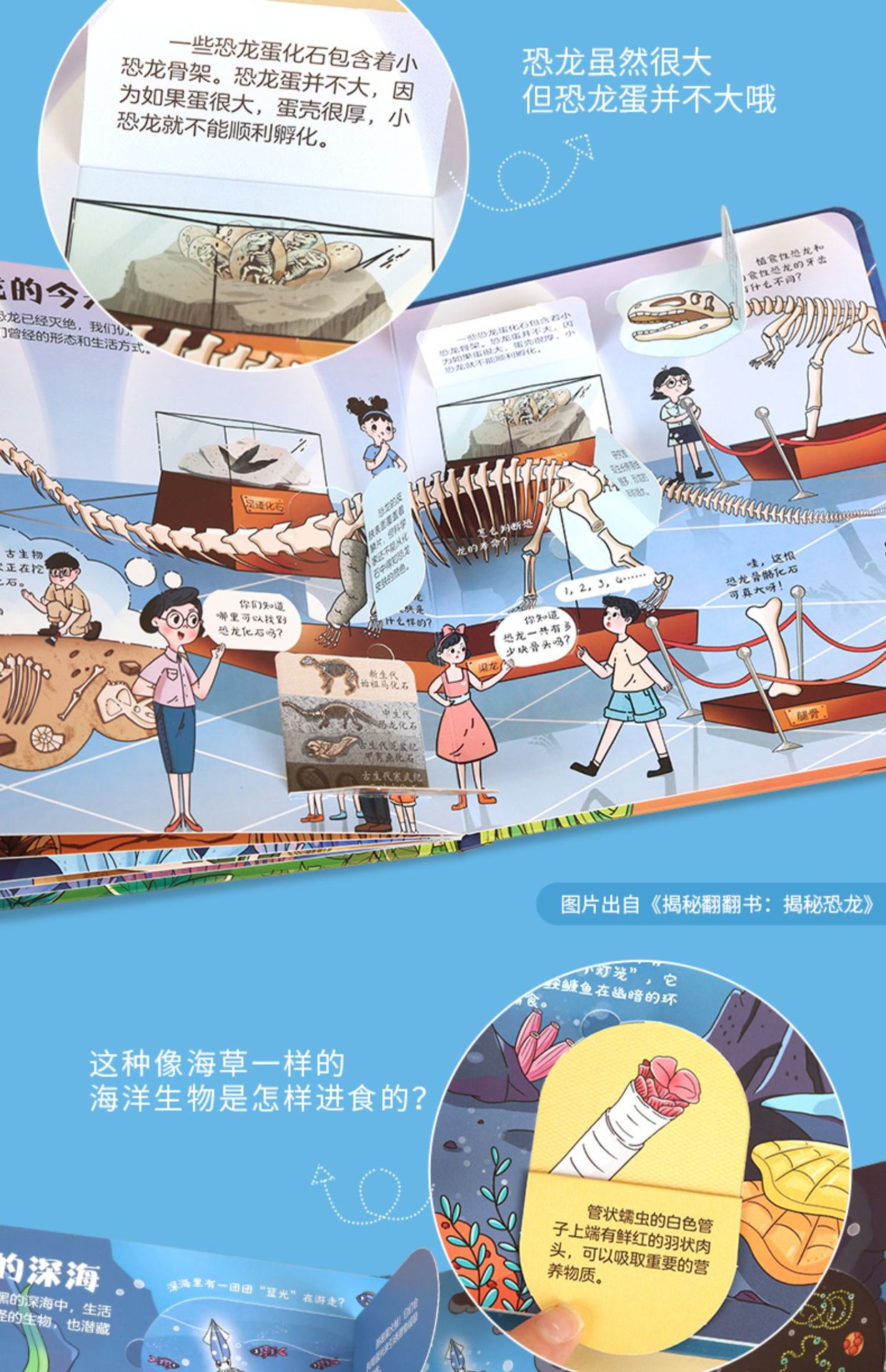 详情图