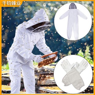 �B���÷�����Ӻ�̫�շ�+����Ƥ���������B����o���B�w������