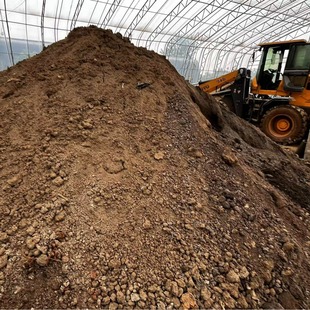 �l��ľ������  ľ������ ����l���ЙC�ʷ���  �@ˇ�N�˷N���ЙC