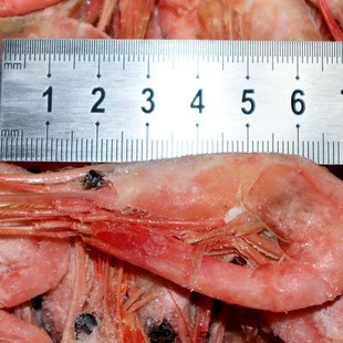 �����m���O�r5kg����r���Ѷ�Ҏ�����Ϻ��r���l���r�L�~�r�^��