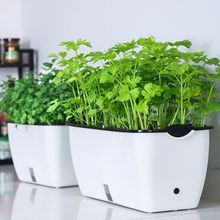 �Ԅ���ˮ���˻���G�}���������߲˷Nֲ���̨���L���ηN��