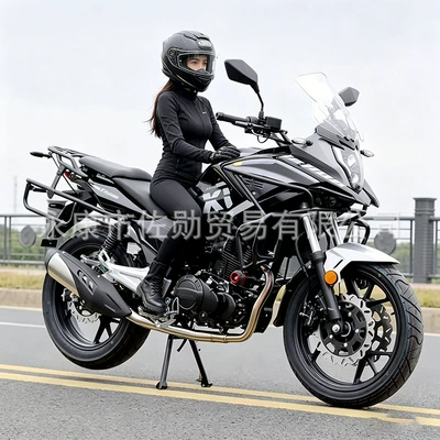 Long-distance touring rally motorcycle, Euro 4 Motosikletlər
