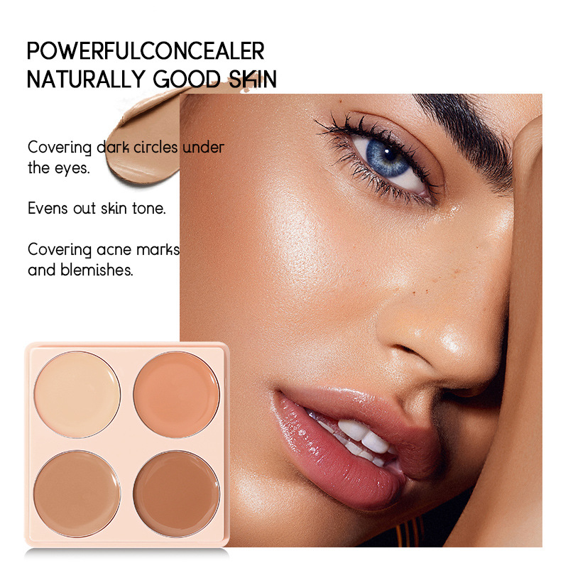 Corrector de venta caliente de punto transfronterizo de USHAS para cubrir las marcas de acné y las ojeras