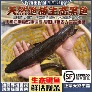 ʮ�����S΢ɽ��Ұ�����~��l���r��ĬF�����k�~Ƭ�lؔ�~�����g