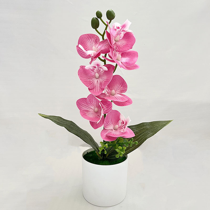 핑크 (높이 31*가로 20cm)