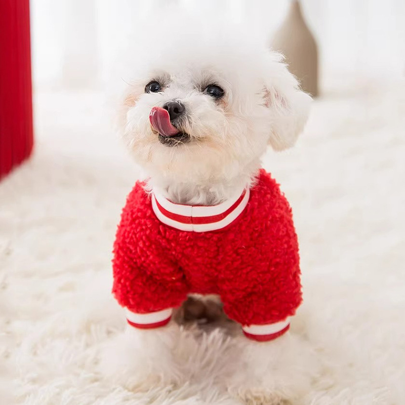 Rico grano de lana bordado ropa de lana pequeño perro dos pies fuera moda desgaste primavera y otoño ropa para perros mascotas image 2