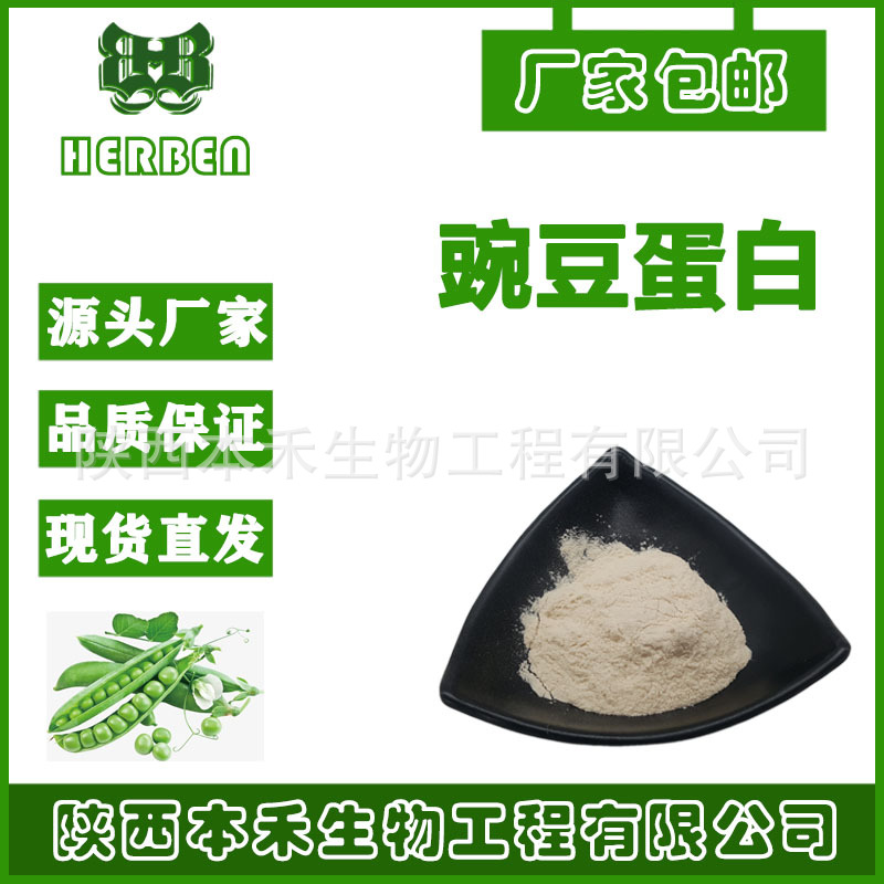 豌豆蛋白粉 90% 豌豆分离蛋白食品级营养强化剂 豌豆提取物本禾
