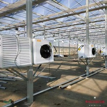定制工业水暖风机智能温室大棚冷暖两用铜管散热器养殖场取暖器