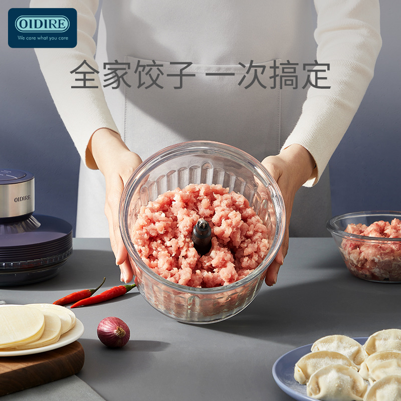 德國OIDIRE絞肉機家用小型電動絞餡全自動打碎肉餡多功能料理攪拌