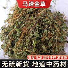 中药材 马蹄金草药 荷包草 黄胆草 小金钱草螺丕草小马蹄草化石草