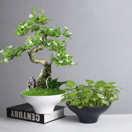 跨境剑山佛手柑苔藓球托盘花盆陶瓷家用米竹水仙铜钱草水培器皿