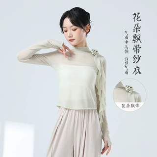 古典舞练功服女新款半高领舞蹈服纱衣成人修身中国舞形体服上衣
