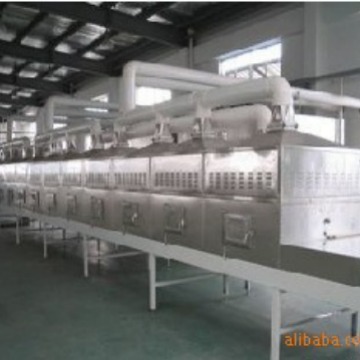 新疆大枣/乐陵小枣/清洗烘干连续式微波干燥设备