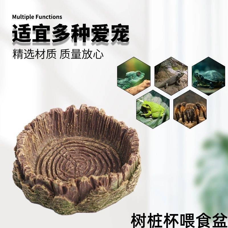 Коробка для разведения рептилий, ландшафтный дизайн, черепаха, ящерица, паук, геккон, рептилия, питьевой фонтанчик для домашних животных, миска для кормления, кормушка, прочная, оптовая продажа
