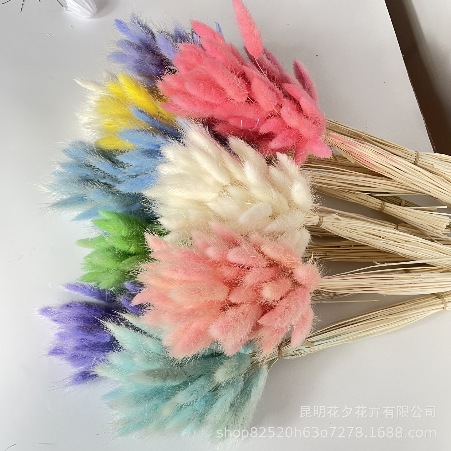 IMG_0367 - 副本.JPG