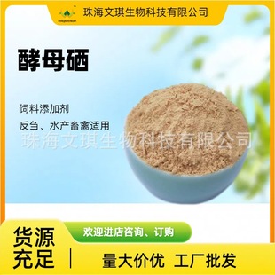 �����S�ҹ��� �ЙC�� ��ĸ�� ����ˮ�a�Bֳ�m�� ������ӄ�