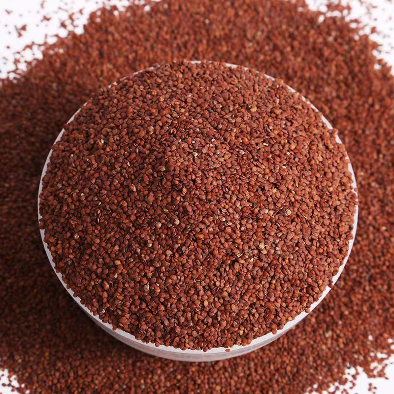 微信图片_20220805101057