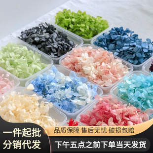 B���ɻ���DIY�ֹ���޹Ϟ�T�滨�L�ɽ�����������ɫϵ��Ӳ��ϰ�