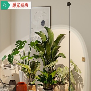 Full Spectrum Telescopic 1.6- 2.1m Floor-Standing Indoor Plant Fill Light