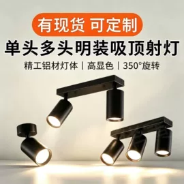 吊灯;射灯;室内壁灯