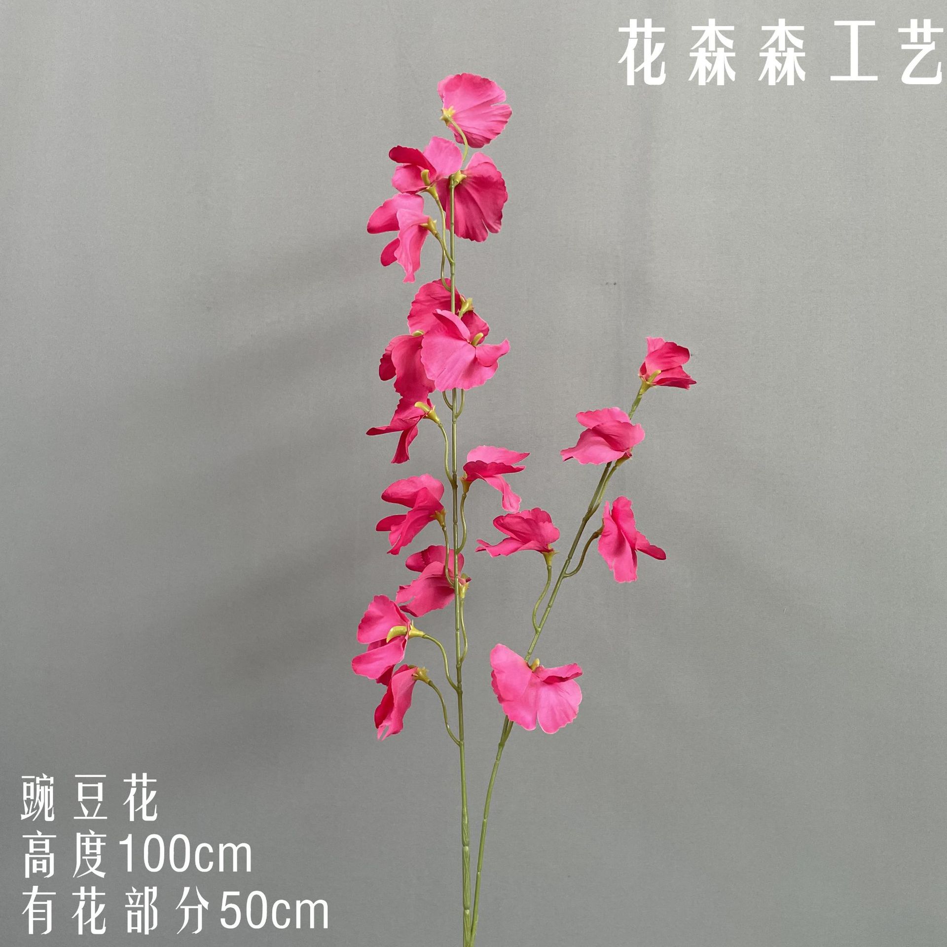 완두콩 꽃 144613