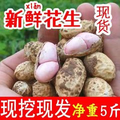 水煮花生年现现发种发货自5斤挖饱满25带壳花生花生湿粉皮鲜泥巴