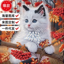 ����5D������ʯ��������ͼ�����ֹ�diy�羳��������װ�λ�����ѷ