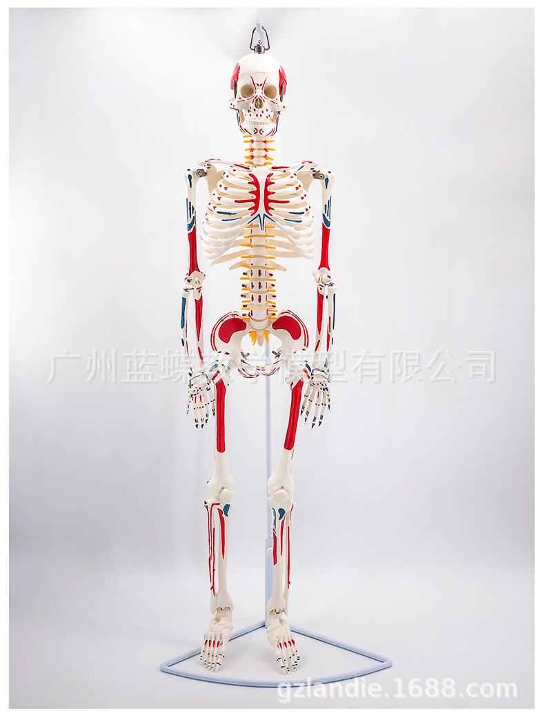 详情_19