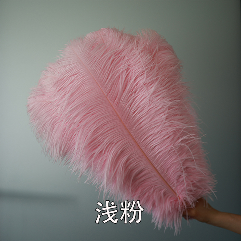 Fabricantes de pelaje de avestruz 50 - 55CM boda guía de la mesa flor de plumas de avestruz adornos de red pared roja plumas de espectáculo de escenario image 28