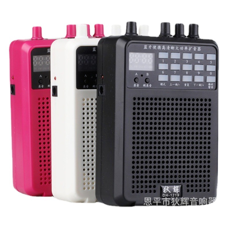 Dihui 1219 Erhu High-Power Amplifier Little Bee Teaching Square Outdoor Music Player Dihui