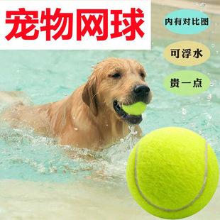 ?������߹������z��␞������ĥ��ˣ����ߌ�����Ʒ���l�S��