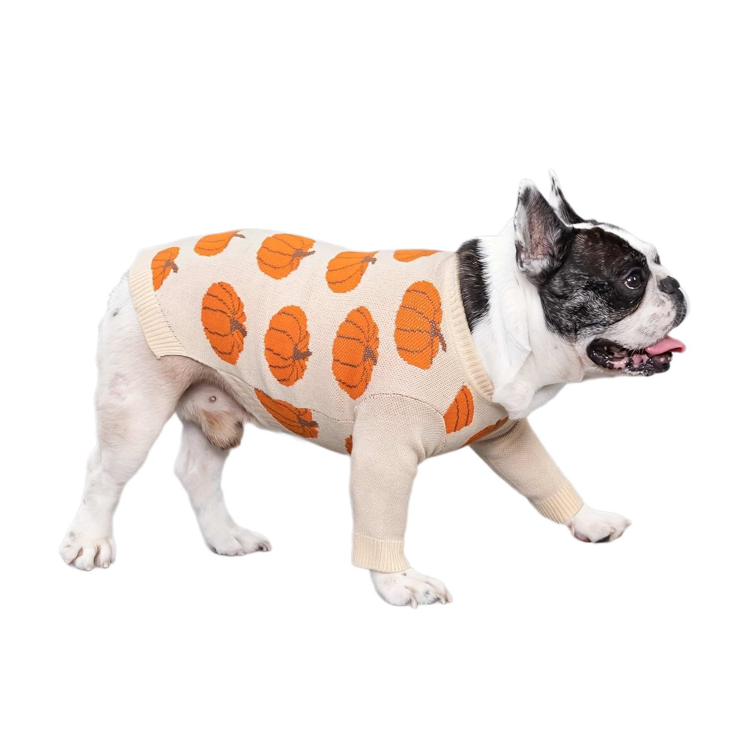 Pull imprimé citrouille pour chien, automne et hiver, bouledogue français, pull pour chien de petite et moyenne taille, vêtements chauds et mignons pour animaux de compagnie