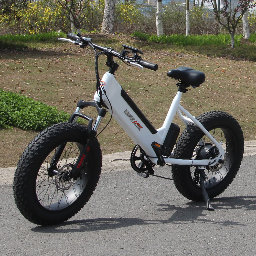 出口雪地车48V胖胎山地电单车沙滩电动自行车变速助力电动车
