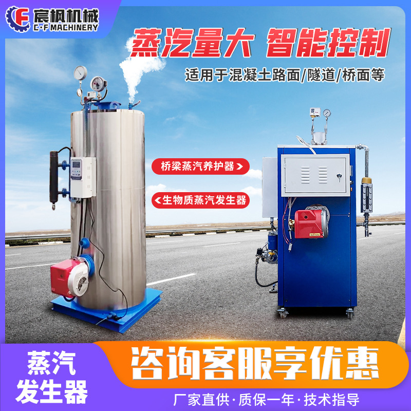 桥梁蒸汽养护器燃油电加热锅炉蒸汽发生器混凝土生物质节能养护机