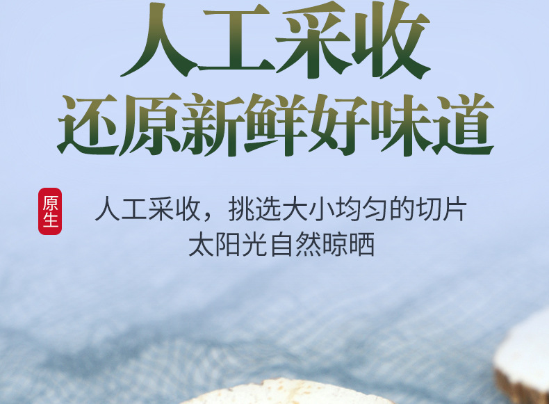Dried Angelica Dahurica Slices Bai Zhi 白芷 Culinary Herb for Braising and Seasoning 500g in use