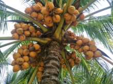 ��Ҭ�ӹ��Sɫ��Ҭ��ëҬ��Ҭ�ӼtҬ��Ҭ����Ҭ��ˮ��Ҭ�����l