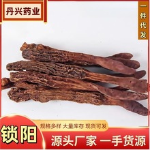 ișlɰƽiƬʿݲݾaBi