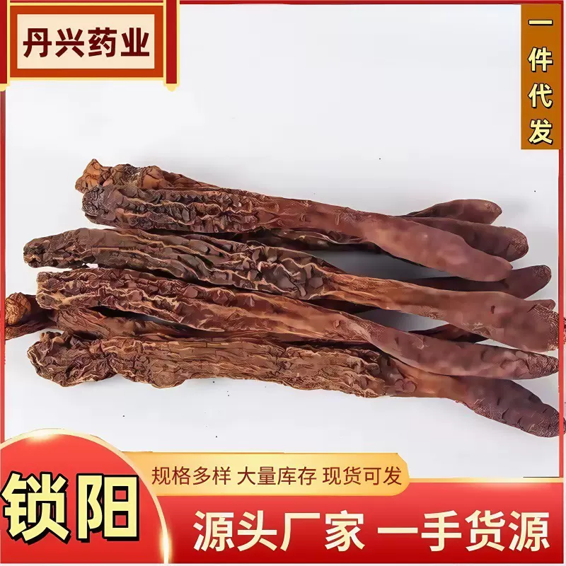 锁阳中药材批发内蒙阿拉善金锁阳切片男士泡茶泡酒滋补养生料锁阳