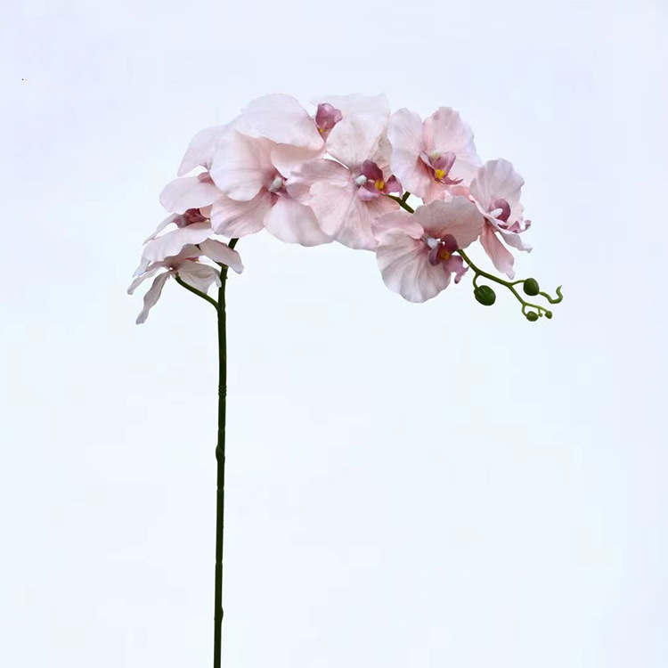 Single agent simulation Phalaenopsis fake wild dried flower European simulation plant fake flower orchid Phalaenopsis wholesale