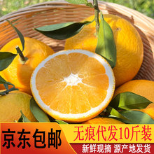 【京东】赣南脐橙10斤装大果 新鲜水果江西赣州脐橙现摘橙子批发