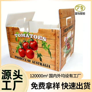 定制 PP 真空板包装盒 食品级中空板水果箱 西红柿生鲜透气包装箱