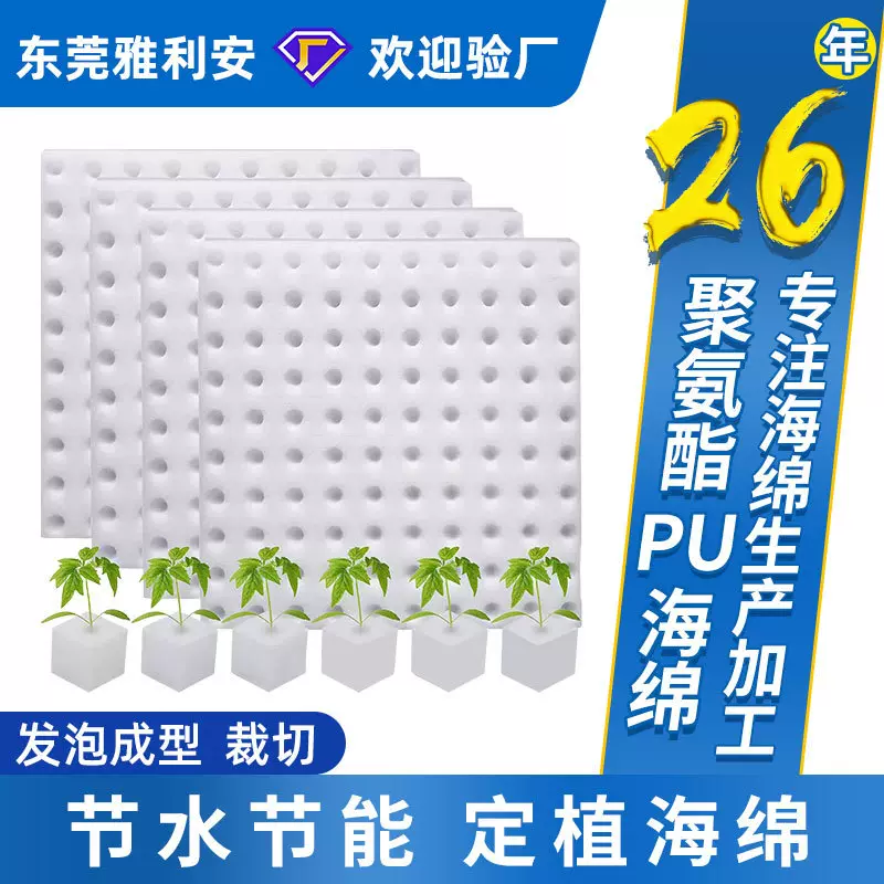 东莞厂家聚氨酯种植水培海绵无土栽培过滤海棉育苗定植插花海棉块