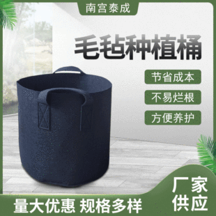 ���R�dë��ֲ�����ɫ��ֲ��ֲ���ƄӷNֲ���L��������Nֲ�����l