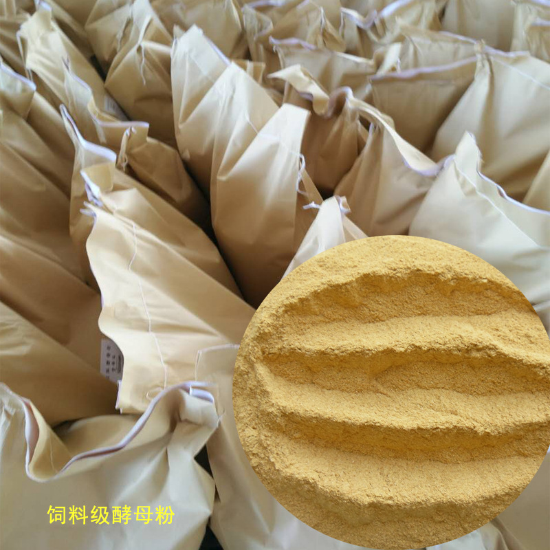 饲料酵母粉  酵母粉价格适当 饲料添加剂