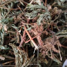 Ұ�����߲� ��Ʒ�в�ș ���߲� �t���o���߲� ���߲�