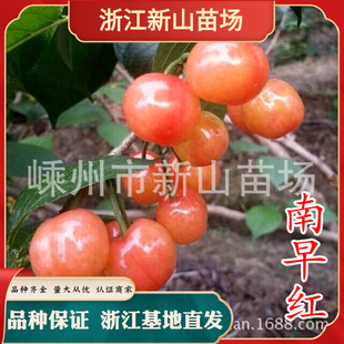 ��ɽ��� �㽭����t���Ҙ���������� �Ϸ��N�Ї��޽�С���ҵ���