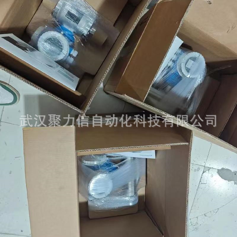 FTL31-1395/0=FTL31-AA4M3AAWBJ德国E+H音叉液位开关正品特价现货
